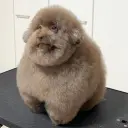 Ебучий_неактив7221322