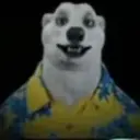 NitRencO
