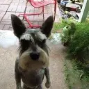 pozzzer