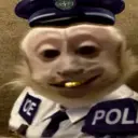 mafiel