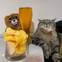 Дождик