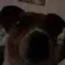 Lolz profile picture for @Bishops