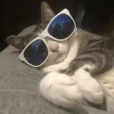 aldo