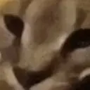 woxxtyy19