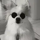 VORBIK