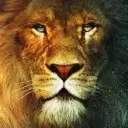Aslan99