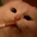 d_i_f_o_r_s