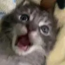 sdpofgksk