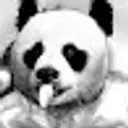 Lolz profile picture for @Culottes