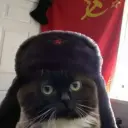 sexigorka228