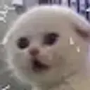 Jshssjnssjs