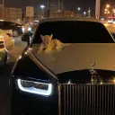фэсиллен