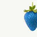 strawberrykid