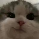 Andreykoo