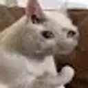 Kovaaks
