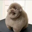 h3dra