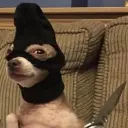 kryptoner