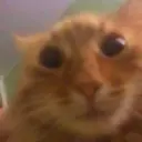 crazybox000