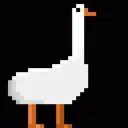 Vcq_Goose