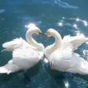 mneaxyenno