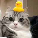 Mrzn