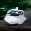 Feniks00