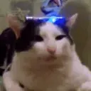 ch3b1kkk