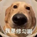 hantsai