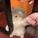 Jimk4