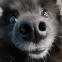 Lolz profile picture for @Crater