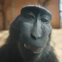 Fekre