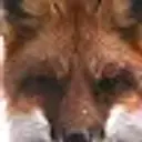 FOXMINE666