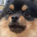 nn_ff_nn