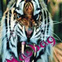 MaSBaG