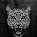 Mr.JaGuaR