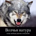 mazila.kom
