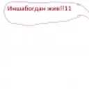 kosak4