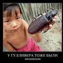 Mandavoshka_inactive