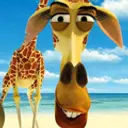 melman17