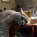 FunnyPancake
