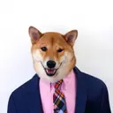 eggarys