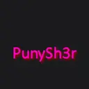PunySh3r