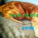 Kotovvvv_inactive41942