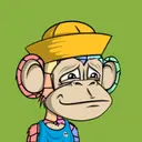 JungleBay