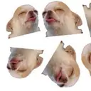 SEXTNT