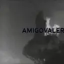 amigovaler