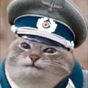 апарпарп