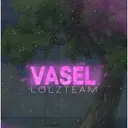 VASEL