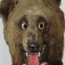 tr9y