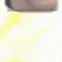 SpEED